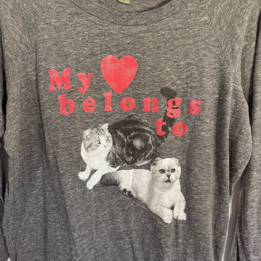 Alternative Earth Taylor Swift Cat Long Sleeve Shirt Gray Size Large - Picture 2 of 5
